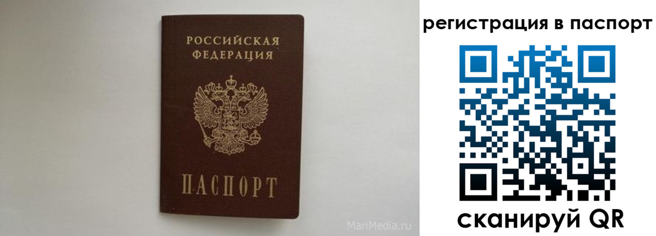 прописка в Семикаракорске